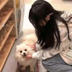 一骑醉天下手机版